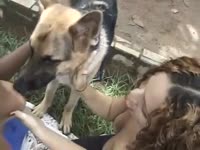 Outdoor dog sex in the park with two sluts